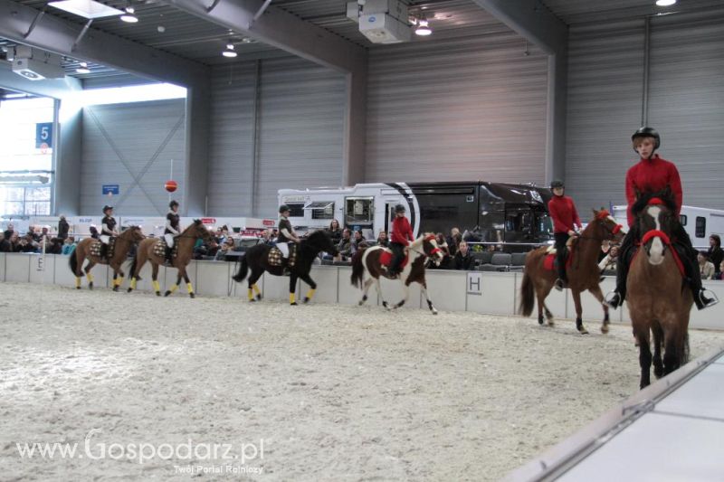 CAVALIADA 2013 w Poznaniu