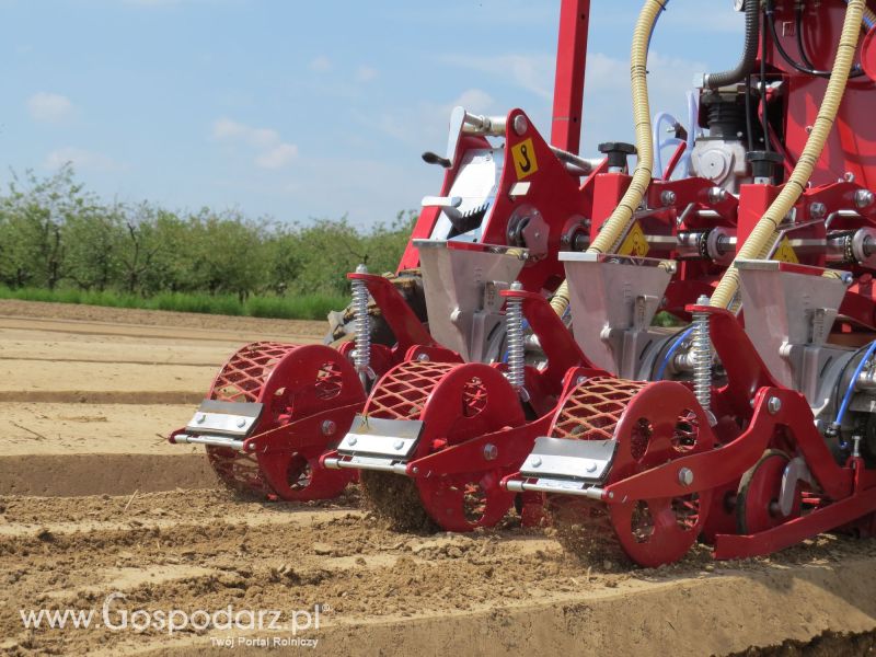 Agregat AUR2 i siewnik pneumatyczny MAX PNEUMATIC  w pracy