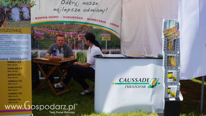 Caussade Nasiona Polska na ZIELONE AGRO SHOW w Ułężu 2017