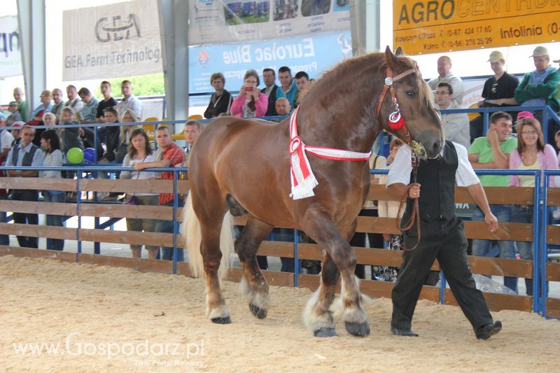 Wręczenie nagród na XVIII Regionalnej Wystawie Zwierząt Hodowlanych w Szepietowie