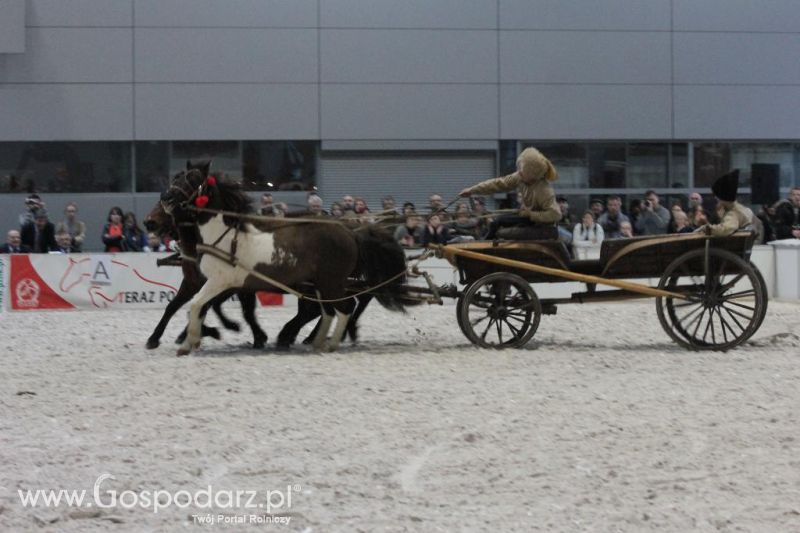 CAVALIADA 2013 w Poznaniu