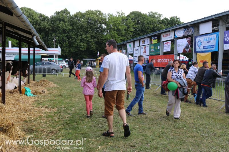 Regionalna Wystawa Zwierząt Hodowlanych i Dni z Doradztwem Rolniczym w Szepietowie 2017