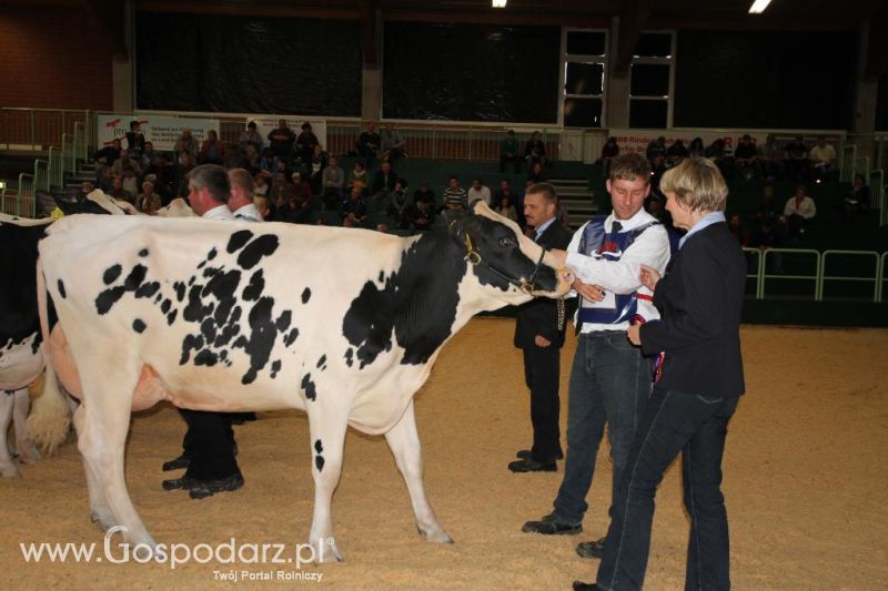 Wystawa  Blickpunkt Rind 2013 w miejscowości Paaren/Glien (Niemcy)