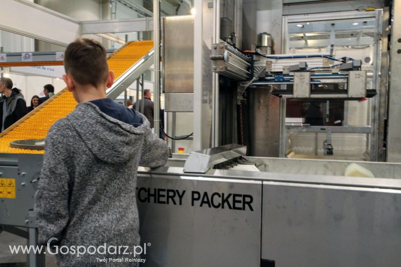 FERMA 2020 dzień 2