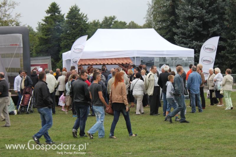 Świętomięs Polski w Chorzowie