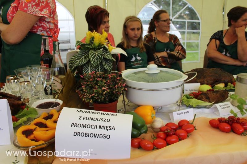 IX Święto Gęsi w Biskupcu