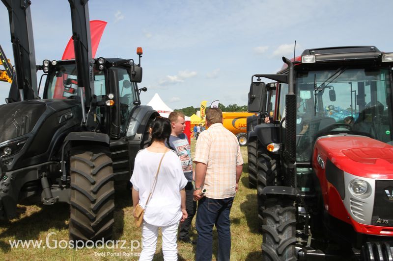 AGCO na Zielonym AGRO SHOW - Polskie Zboża 2015 w Sielinku