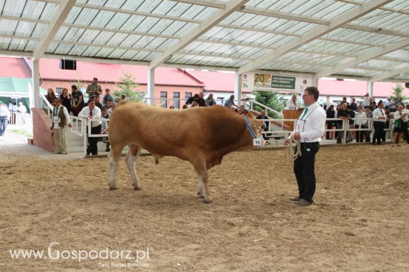 I Krajowa Wystawa Bydła Mięsnego w Sielinku - sobota
