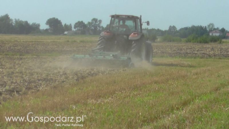 Talerzowane 2013 