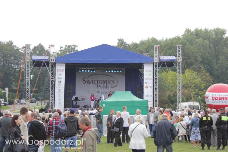 Świętomięs Polski w Chorzowie