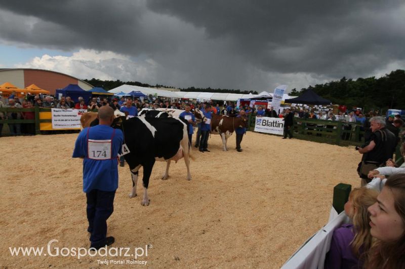 Opolagra 2014 cz.2