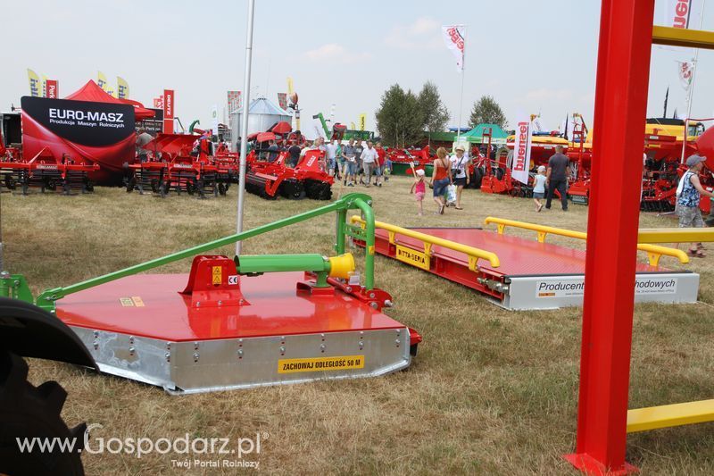 OPOLAGRA 2015 w Kamieniu Śląskim