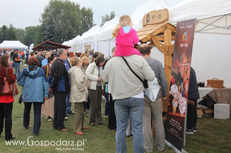 Świętomięs Polski w Chorzowie