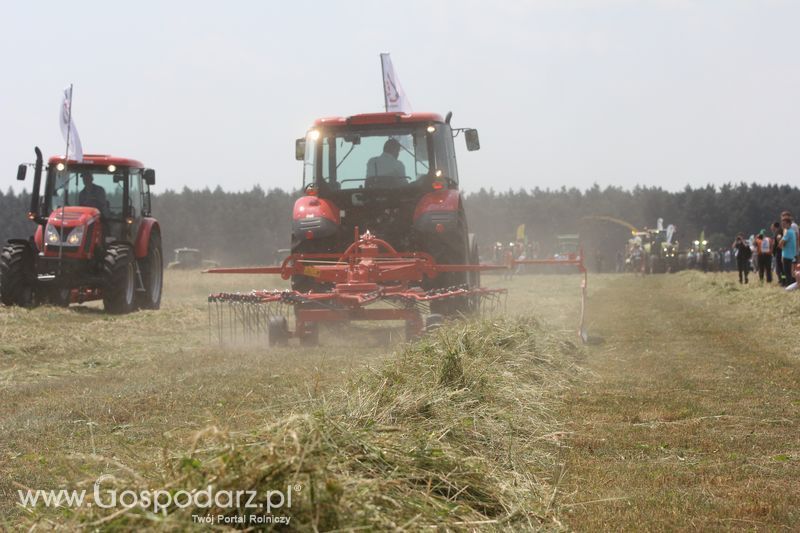 Pokazy polowe podczas targów OPOLAGRA 2015