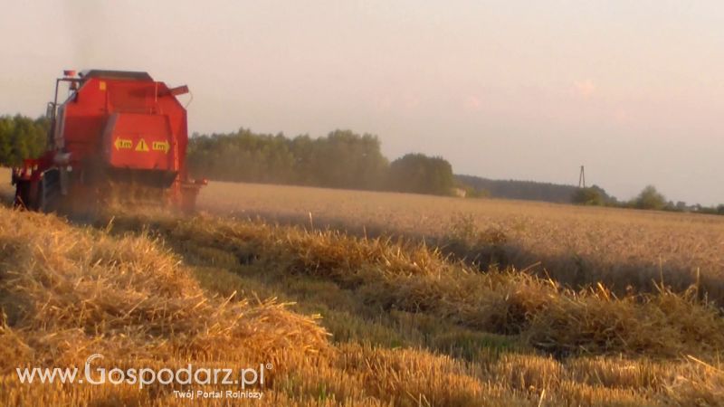 Żniwa 2013
