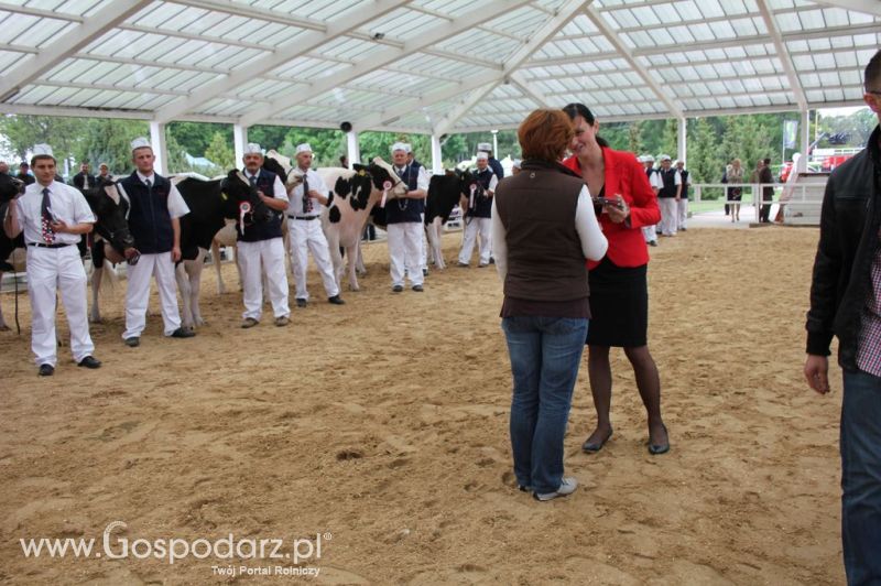Prezentacja Championów na VII Ogólnopolskiej Wystawie Bydła Hodowlanego w Sielinku 2012