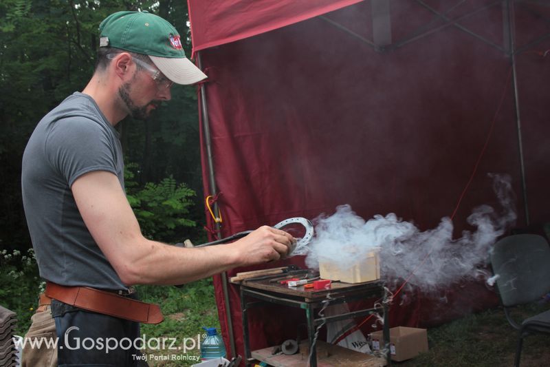  XX Targi Rolnicze Lubniewice