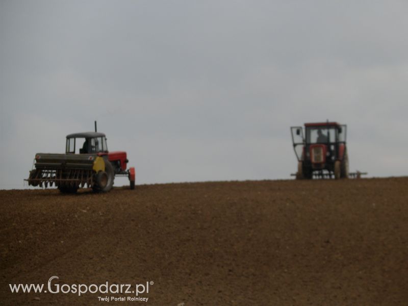 Wiosenne Przesiewki 2012 