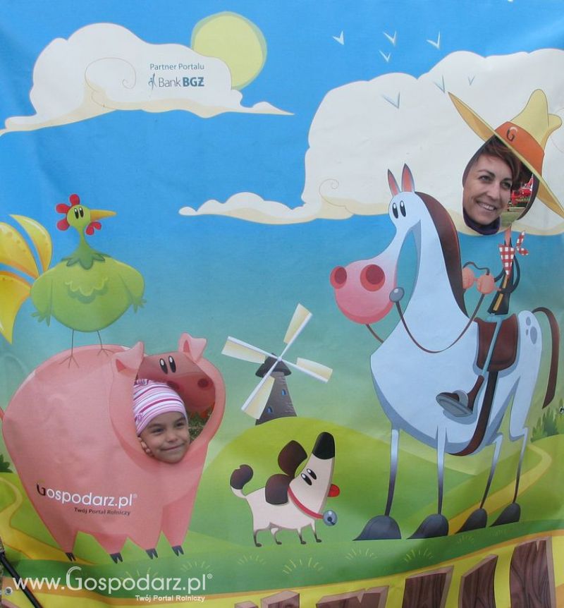 Zdjęcia ze świnką na Agro Show 2012 niedziela