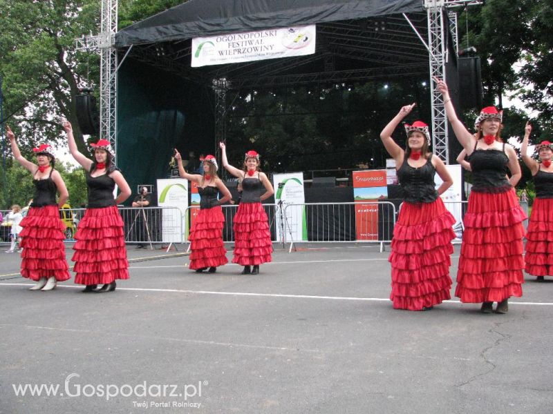 Festiwal Wieprzowiny w Koźminie Wielkopolskim 2013