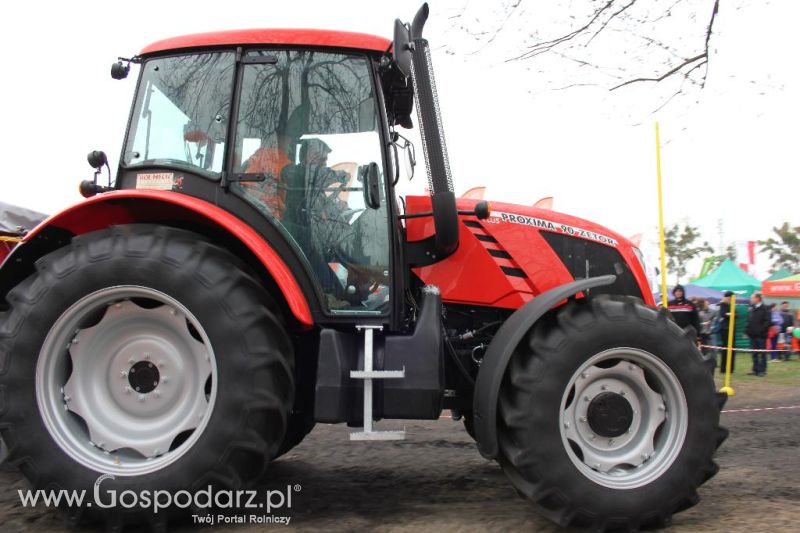 Precyzyjny Gospodarz 2013 Kowalewo Pomorskie - sobota.