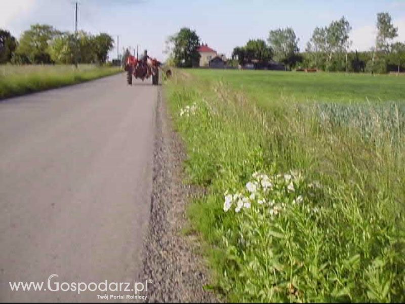 Sianokosy 2013