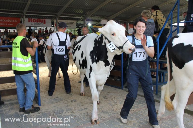 Bydło - Szepietowo 2012 XIX Regionalna Wystawa Zwierząt Hodowlanych
