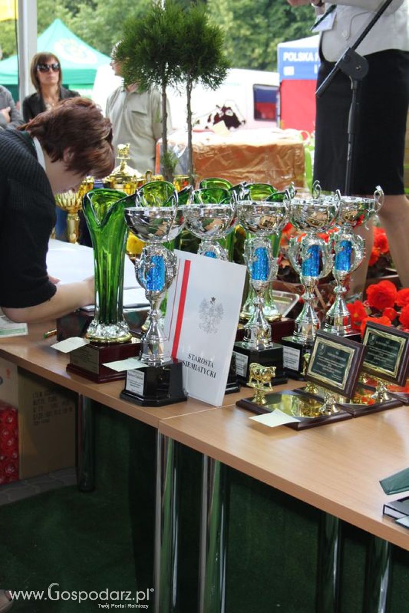 XVIII Regionalna Wystawa Zwierząt Hodowlanych i Dni z Doradztwem Rolniczym w Szepietowie - Sobota