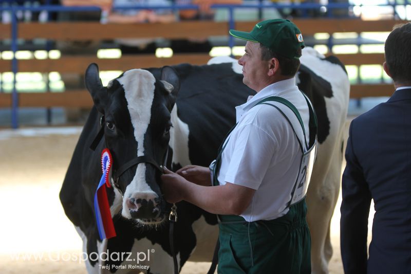Wystawa zwierząt w Szepietowie