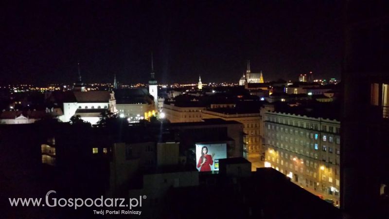 Precyzyjni Gospodarze w Czechach