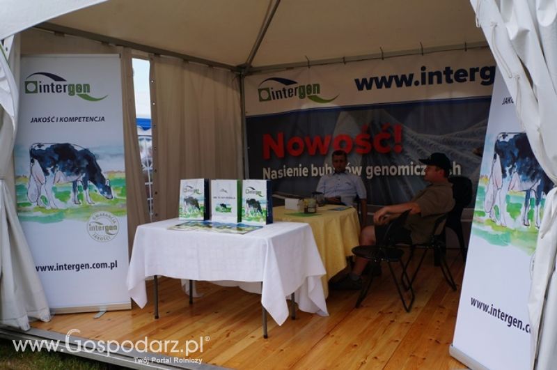 Intergen na OPOLAGRZE 2015