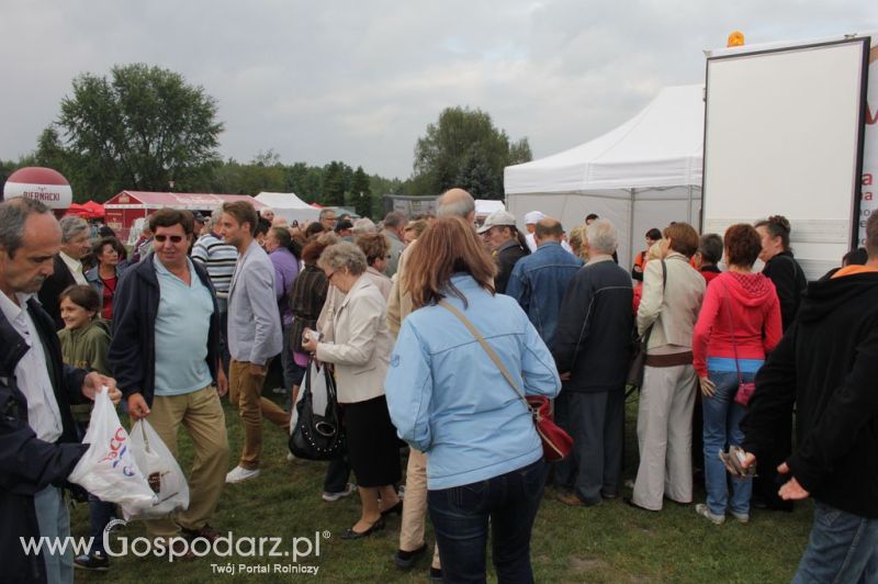 Świętomięs Polski w Chorzowie