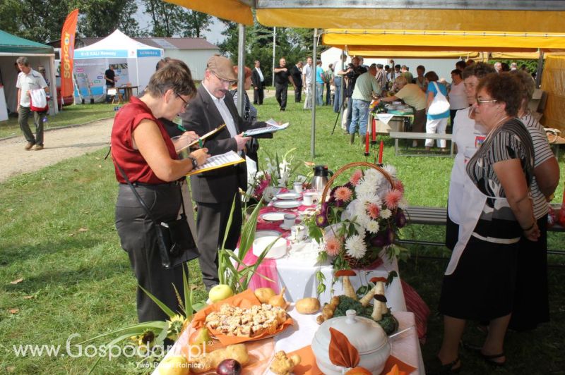 XIX Krajowe Dni Ziemniaka w Marszewie