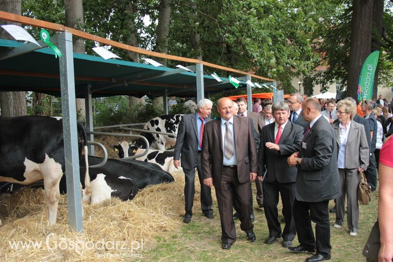  XX Targi Rolnicze Lubniewice
