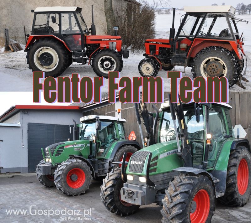 Fentor Farm Team