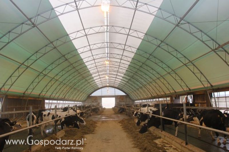 Wyjazd studyjny na farmę w Hohenhameln (Niemcy)
