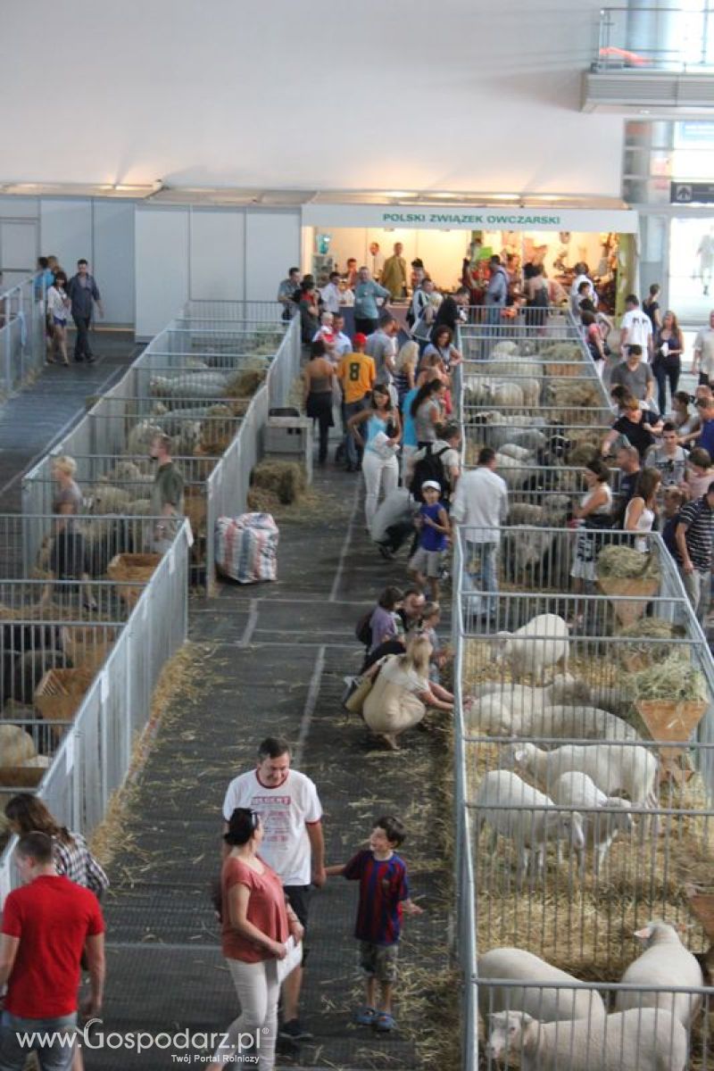 XXV Krajowa Wystawa Zwierząt Hodowlanych Niedziela