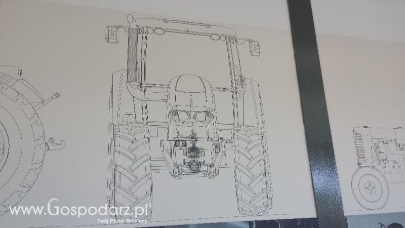 Precyzyjni Gospodarze w Czechach