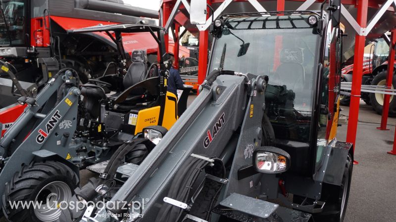 Giant - Ka Pasesi 2016 na Litwie - Ką pasėsi... 2016