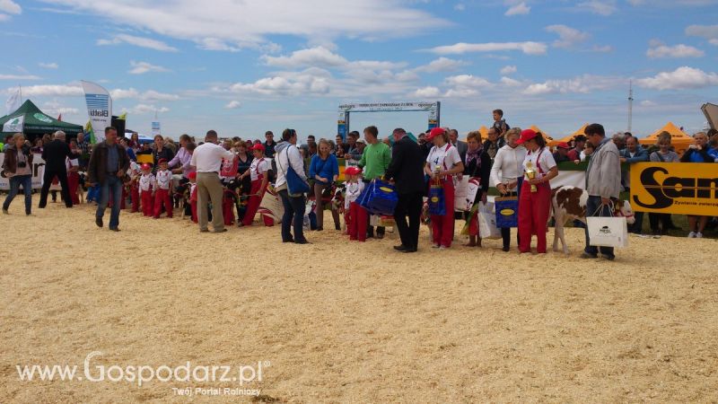 Opolagra 2014 okiem Redaktora Portalu Gospodarz.pl