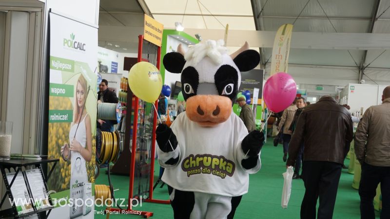 AGROTECH Kielce 2017 (piątek, 17 marca)