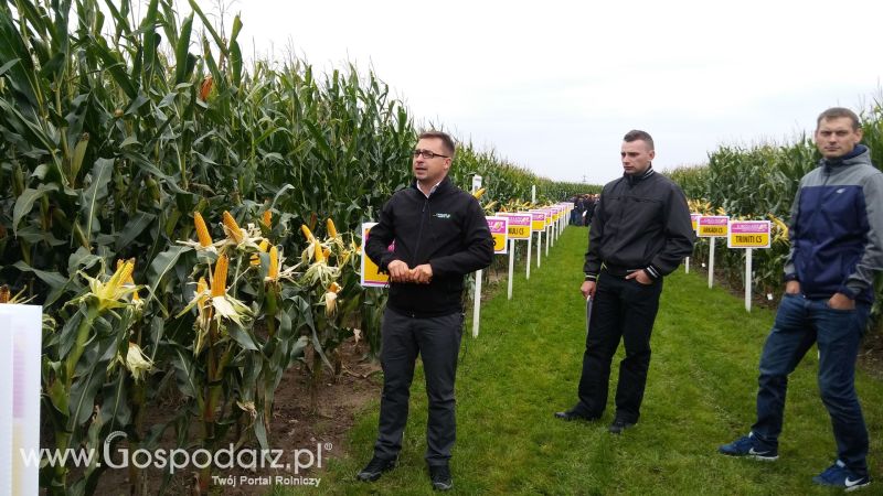 Poletka doświadczalne Caussade Nasiona w Dziećmiarkach 2017