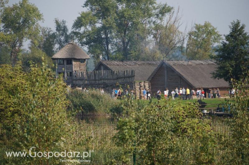 Biskupin - wioska pierwszych rolników