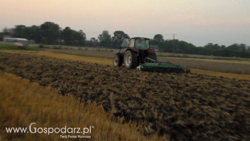 Talerzowane 2013 