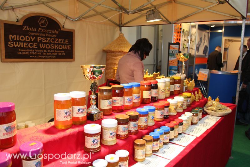 Fotorelacja z XVII Międzynarodowych Targów Techniki Rolniczej AGROTECH i XI Targów Przemysłu Drzewnego i Gospodarki Zasobami Leśnymi LAS-EXPO dzień 2