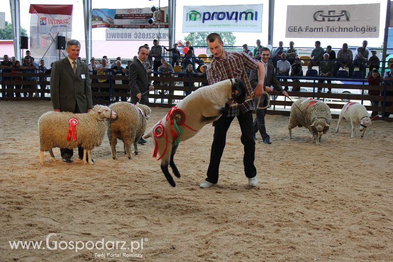 Wręczenie nagród na XVIII Regionalnej Wystawie Zwierząt Hodowlanych w Szepietowie