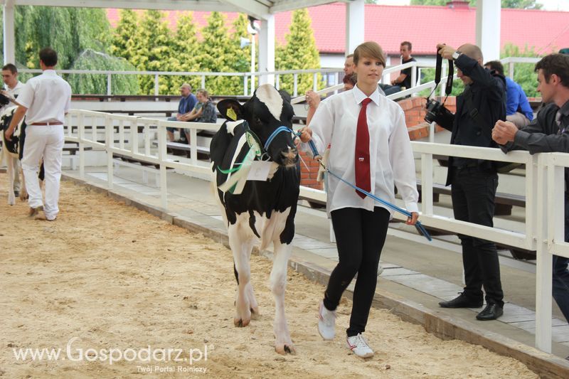 Wystawa bydła Sielinko 2011