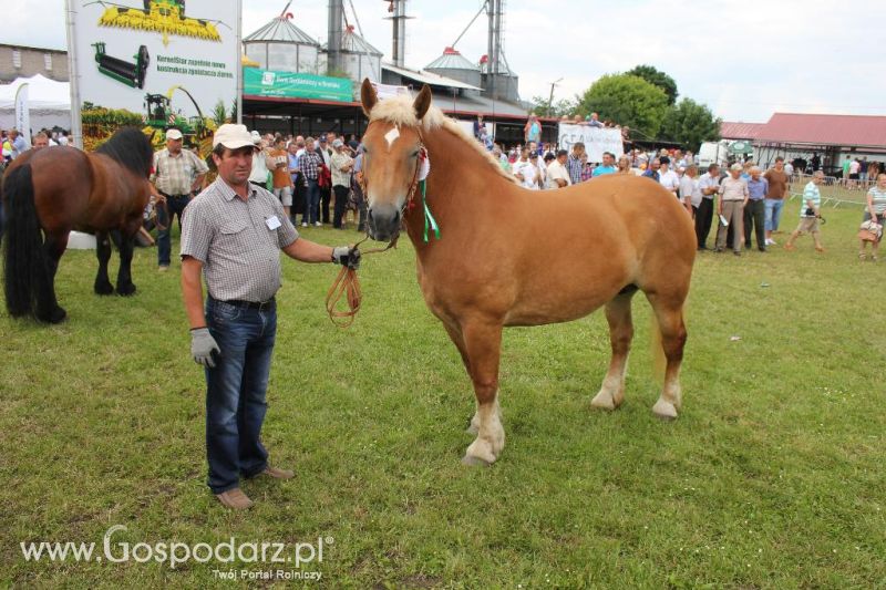 Regionalna Wystawa Zwierząt Hodowlanych i Dni z Doradztwem Rolniczym w Szepietowie-niedziela