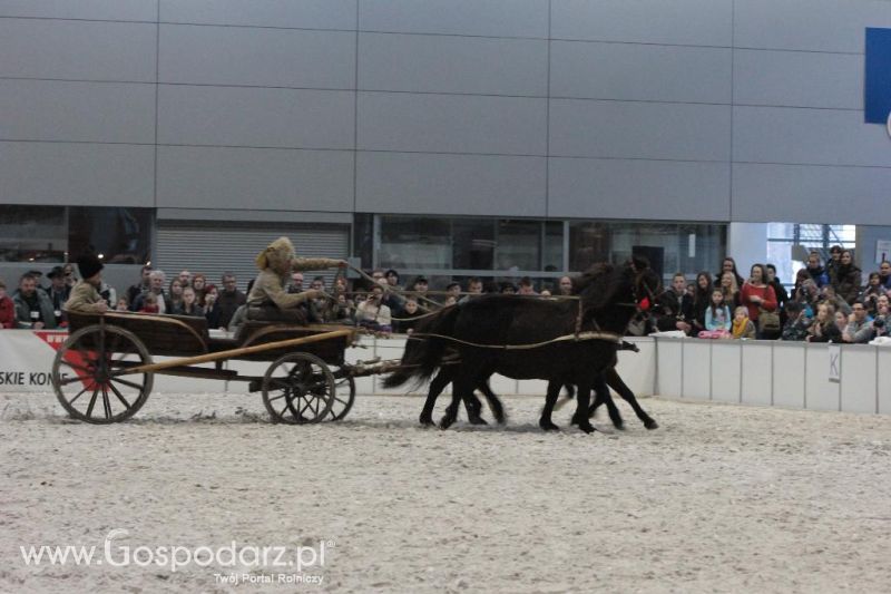 CAVALIADA 2013 w Poznaniu