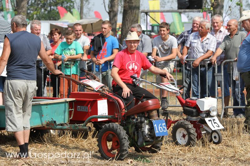Targi Roltechnika w Wilkowicach 2015